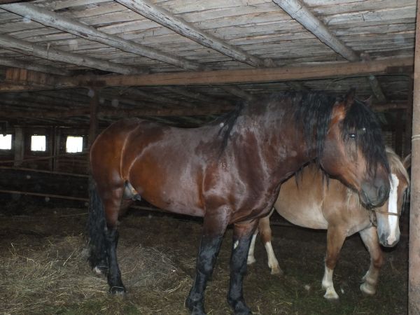 DSCF7055.jpg