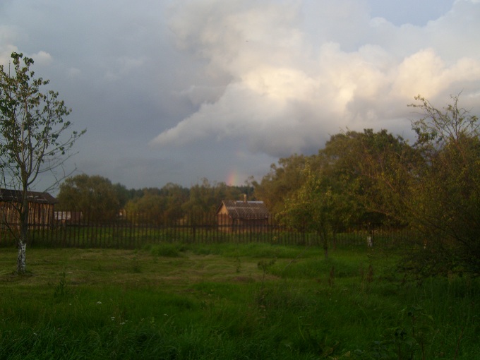 DSCI3768.JPG
