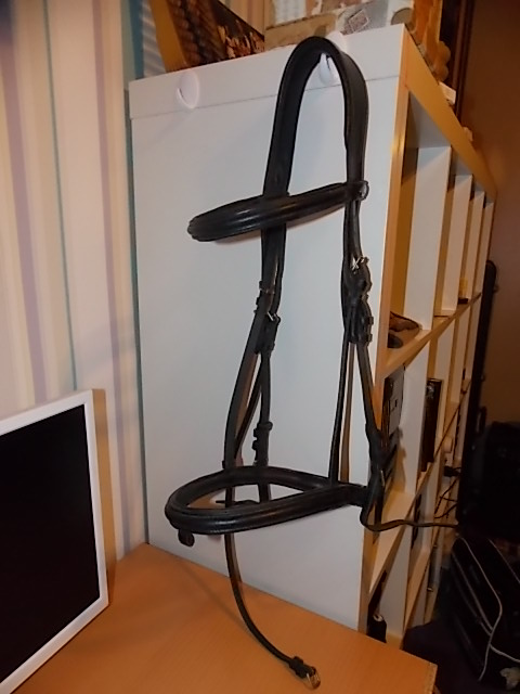 DSCN0010.JPG