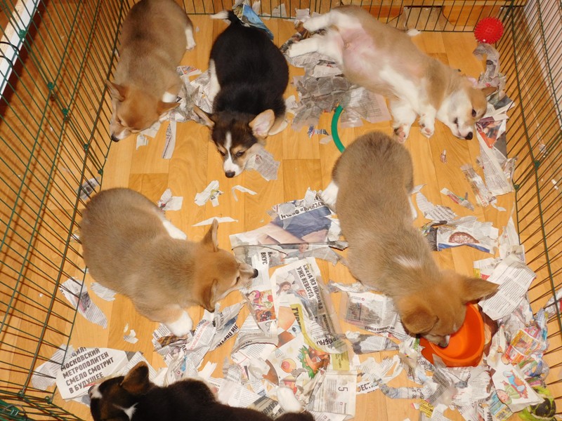 DSCN1684.JPG