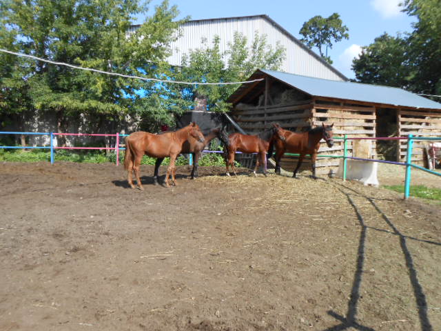 DSCN1969.JPG