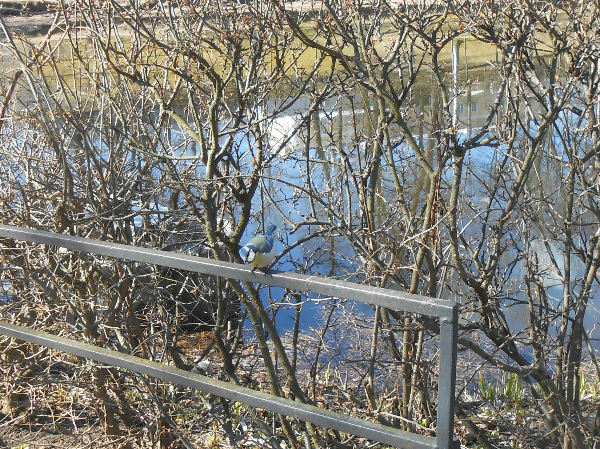 DSCN2278.jpg