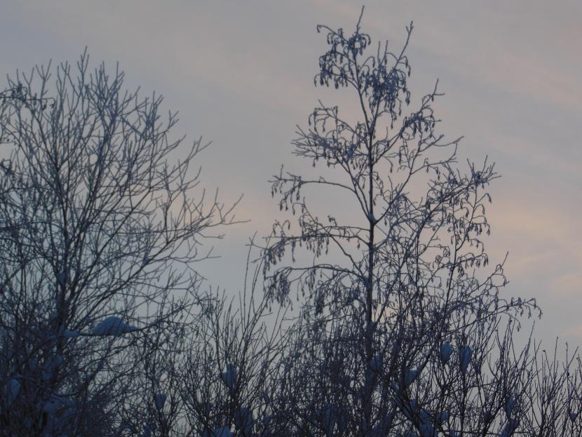 DSCN2286_2.JPG