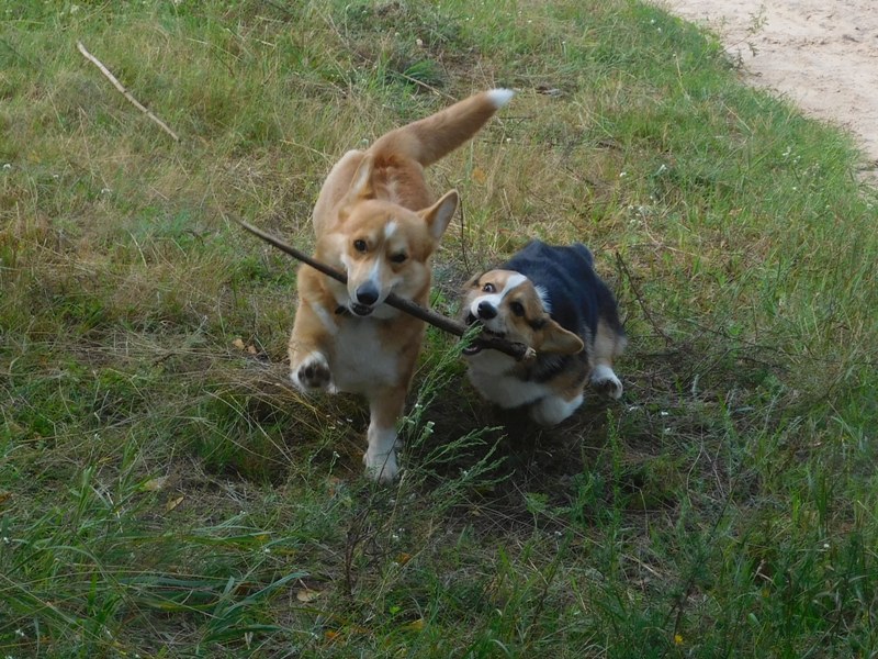 DSCN2314.JPG