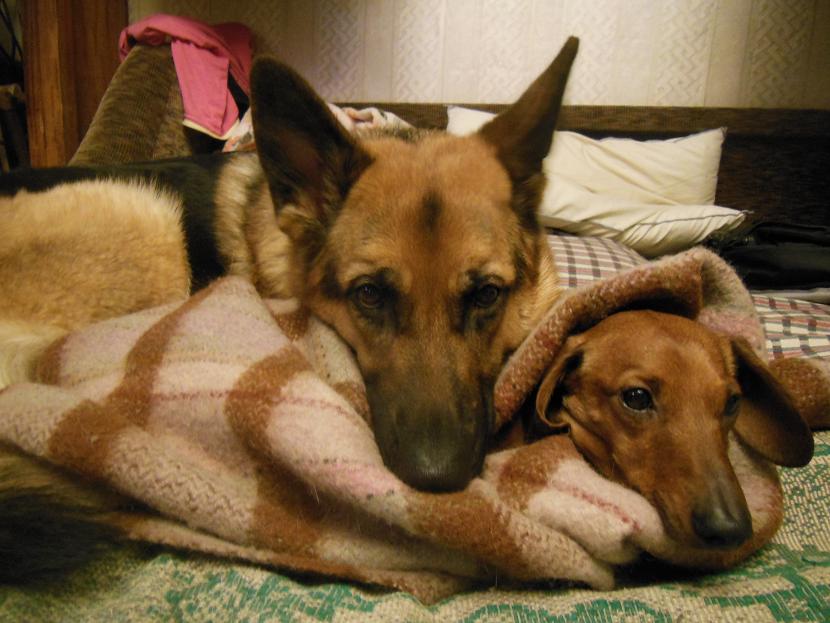 DSCN2328_ЛиМ-!-на диване.JPG
