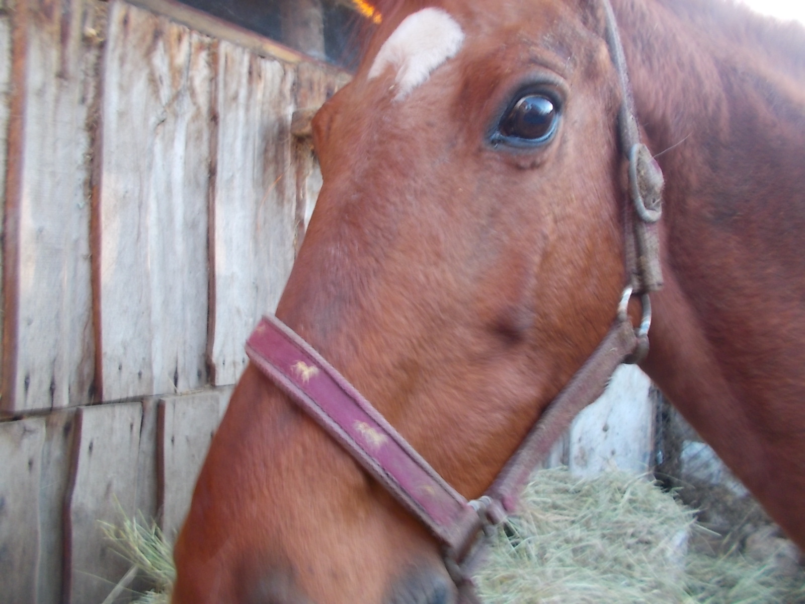 DSCN2371.JPG