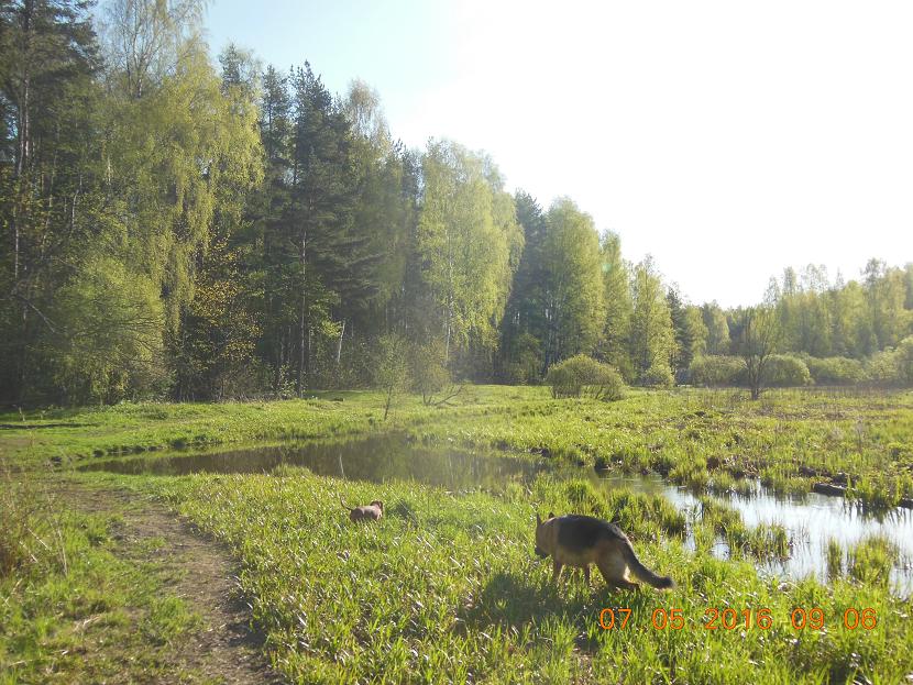 DSCN2620_1.JPG
