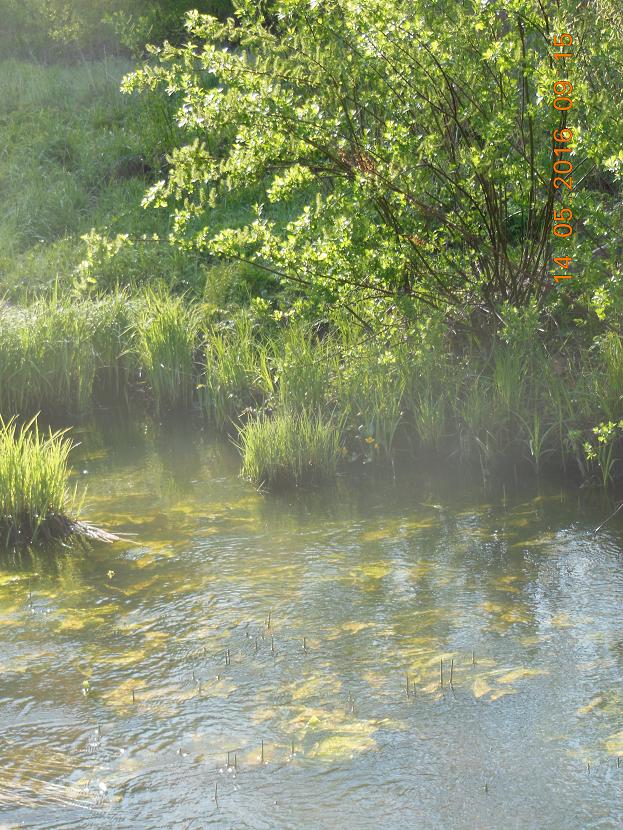 DSCN2697_1.JPG