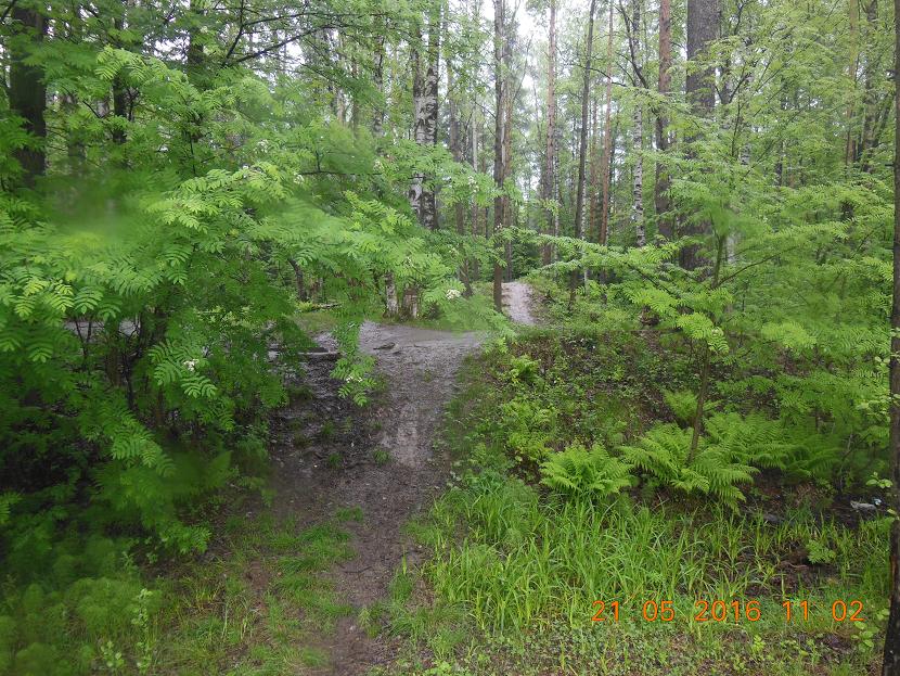 DSCN2742_1.JPG