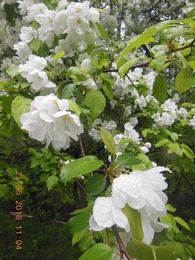 DSCN2744_1.JPG