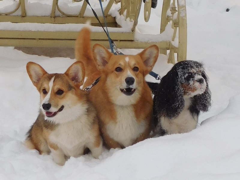 DSCN2831.JPG