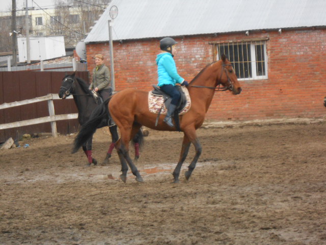 DSCN2856.JPG