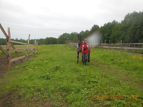 DSCN2973_1.jpg
