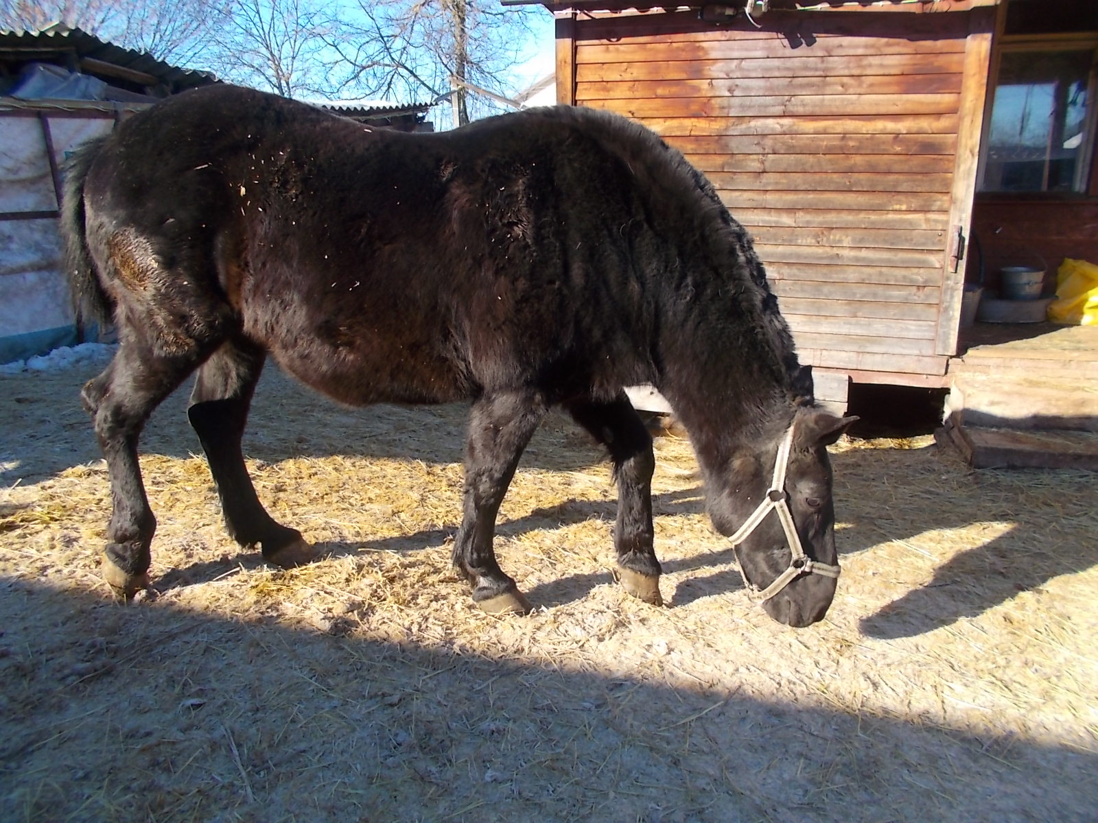 DSCN3113.JPG