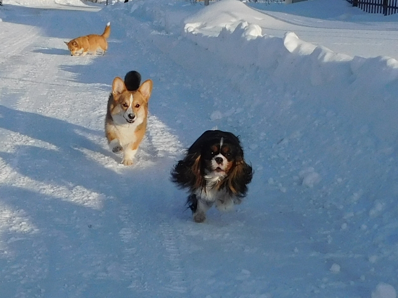 DSCN3260.JPG