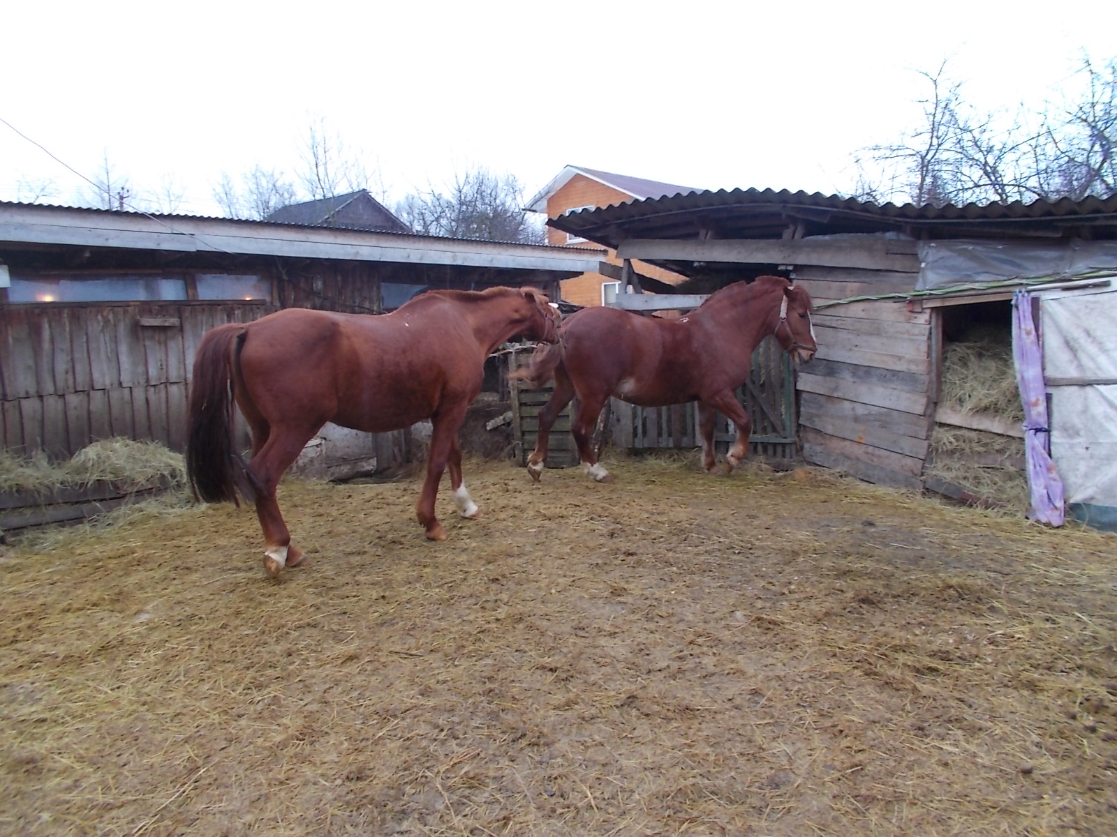 DSCN3268.JPG