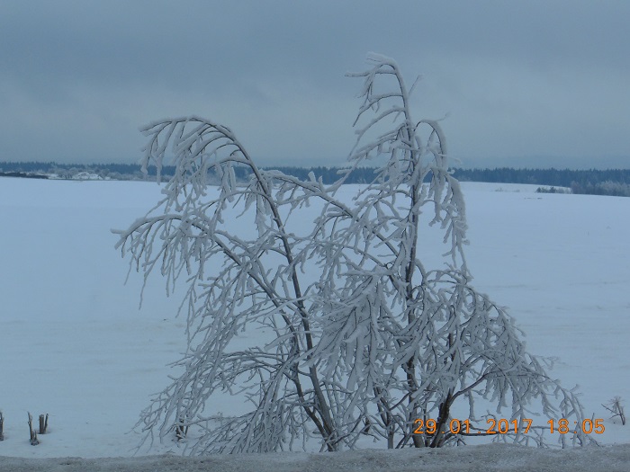 DSCN4338_9.jpg