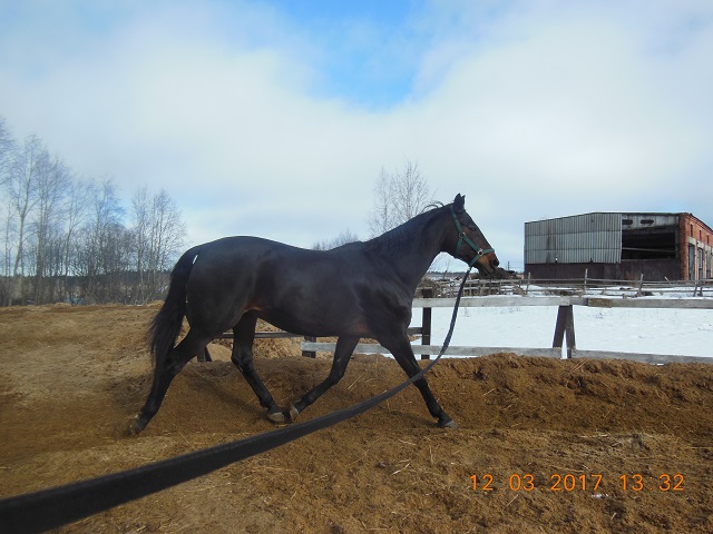 DSCN4745_4_Хо.jpg