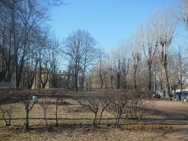 DSCN4876.webp