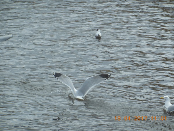 DSCN5100.JPG