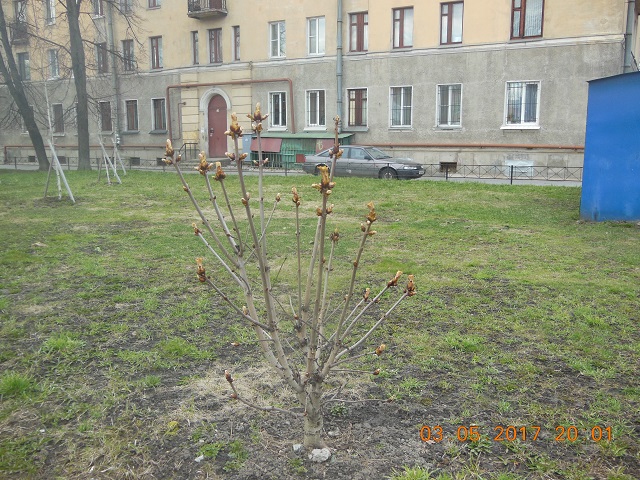 DSCN5249_2.jpg