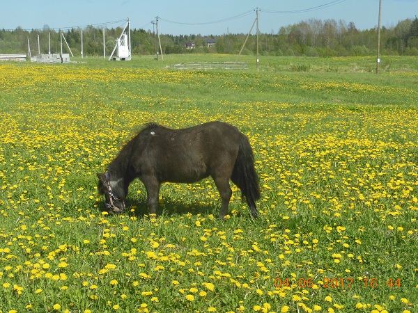 DSCN5616_7.jpg