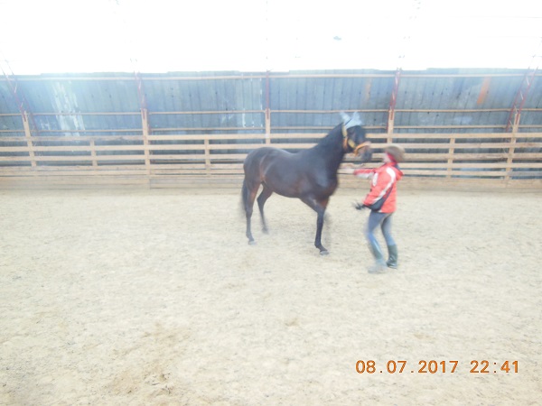 DSCN5760.JPG