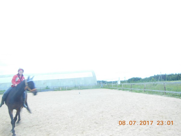 DSCN5771.JPG