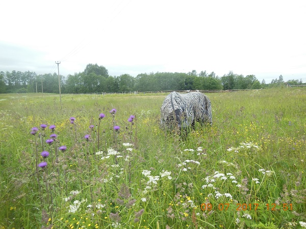 DSCN5776.JPG