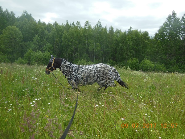 DSCN5780.JPG