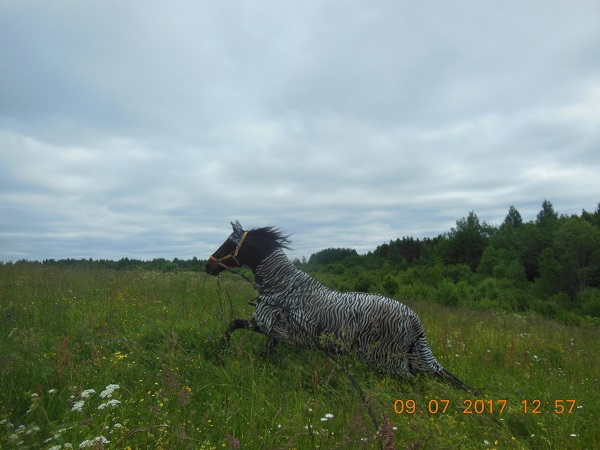 DSCN5781.JPG