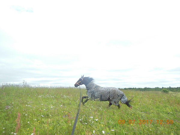DSCN5791.JPG