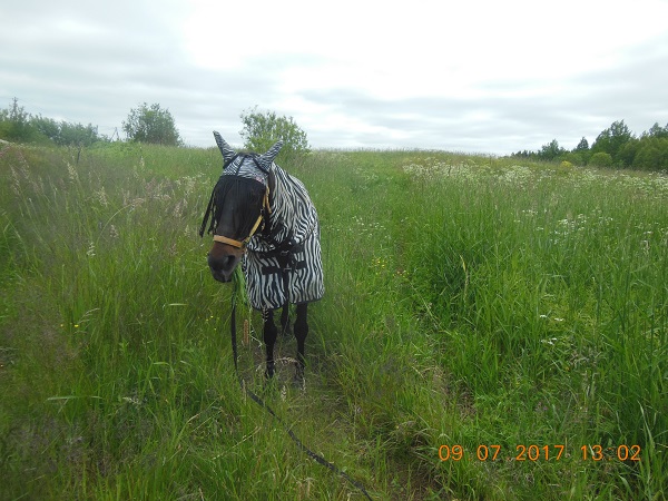 DSCN5793.JPG