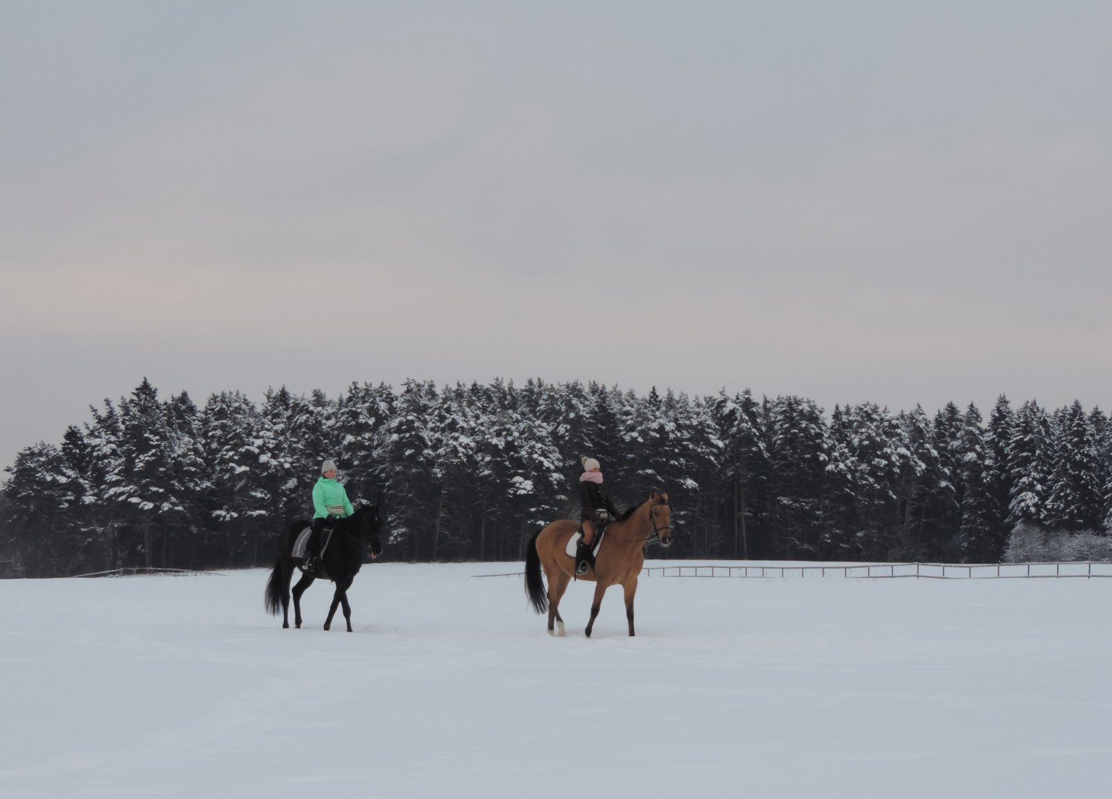 DSCN5857.jpg