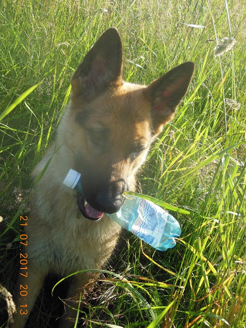 DSCN5928_15.jpg