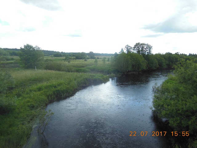 DSCN5962_1_Смердомка.jpg