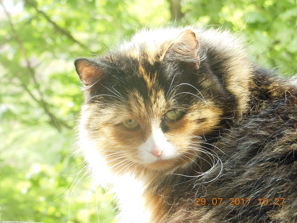DSCN5978.JPG