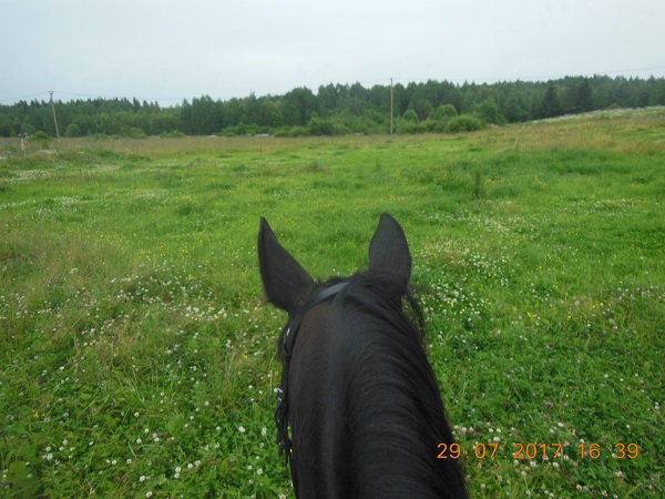 DSCN5987.JPG
