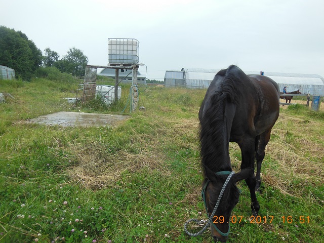 DSCN5988_20.jpg