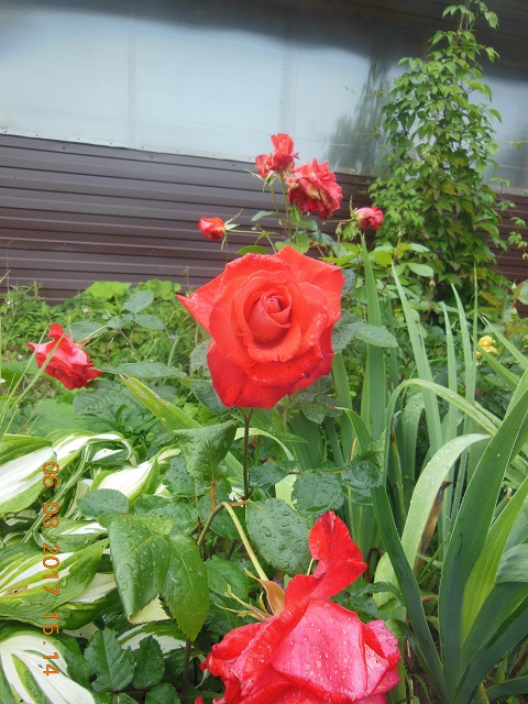 DSCN6056.JPG