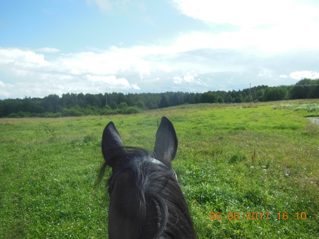 DSCN6059.JPG