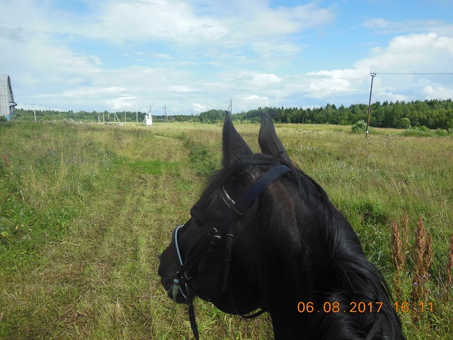 DSCN6060.JPG
