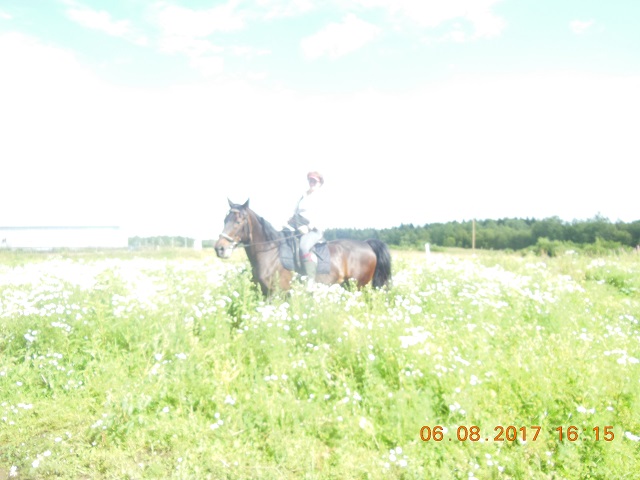 DSCN6061.JPG