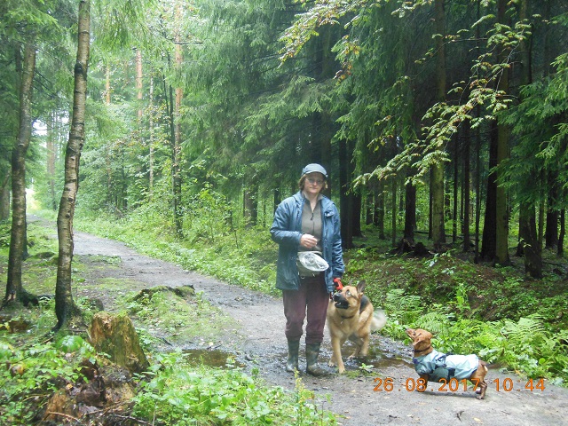 DSCN6293_21_собаки.jpg