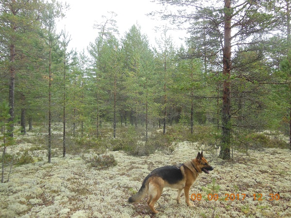 DSCN6415_1.jpg