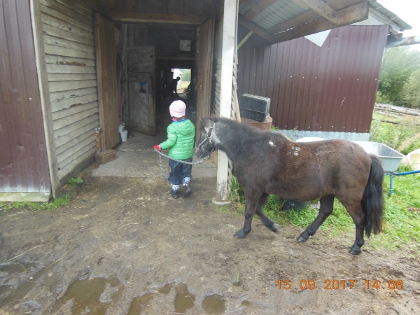 DSCN6455_33.jpg