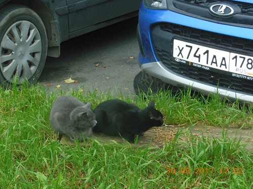 DSCN6545.JPG