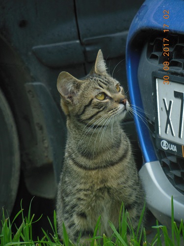 DSCN6546.JPG