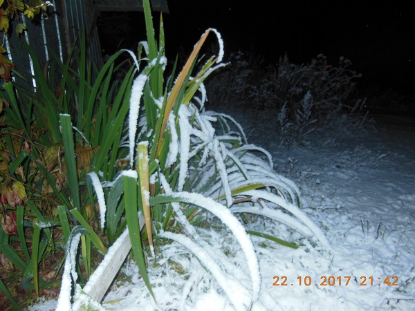 DSCN6676.JPG