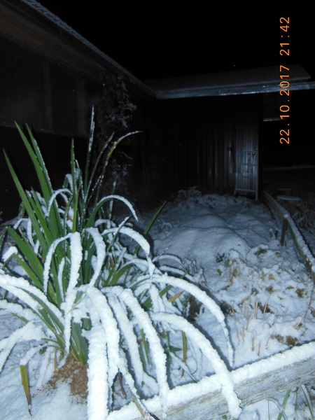 DSCN6677.JPG